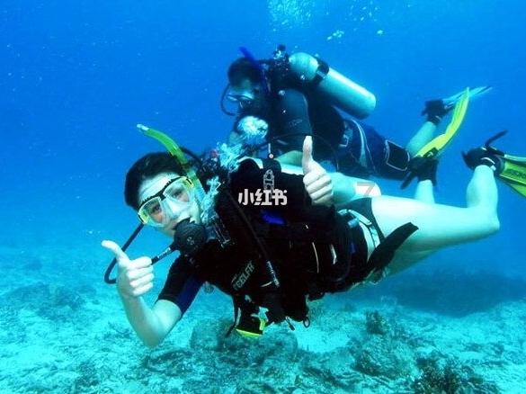 A股史上最大电诈案背后：海普瑞总市值最高蒸发近600亿，肝素原料药寒冬时刻撞上另一龙头业绩暴雷